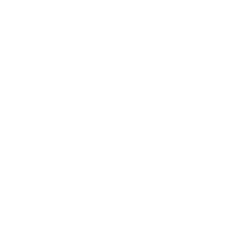 Voice Services